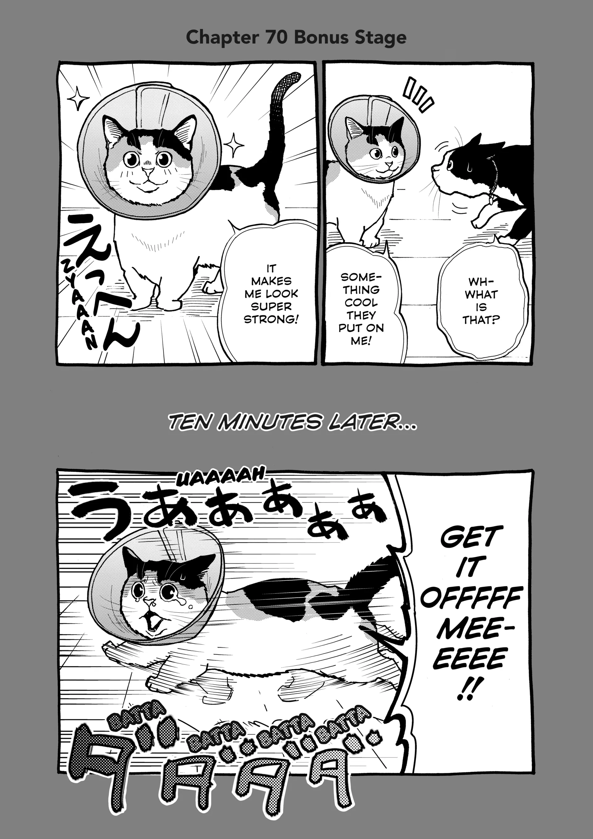 A Gamer Living With A Cat Chapter 70 - page 13