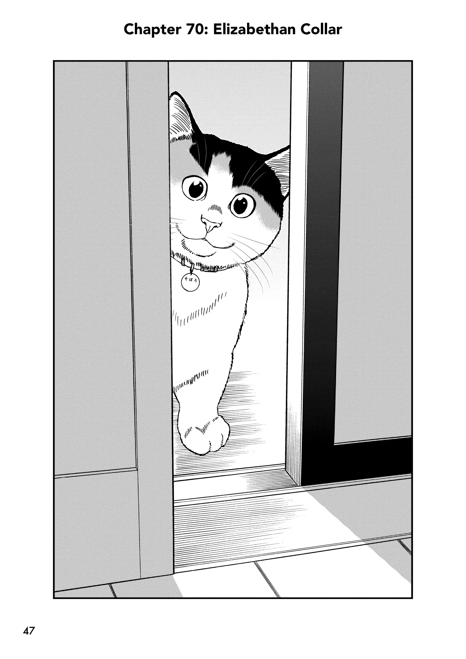A Gamer Living With A Cat Chapter 70 - page 1