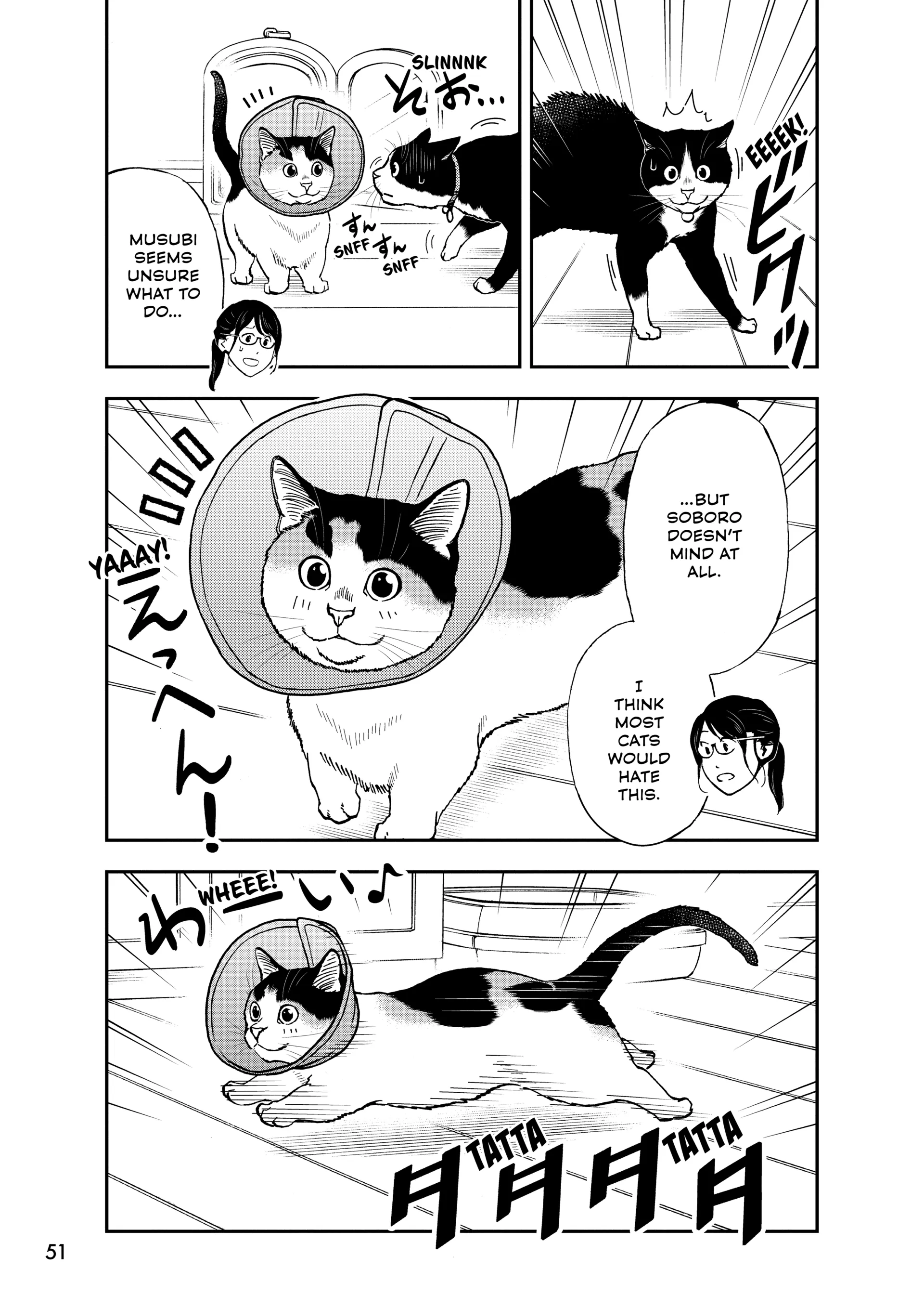 A Gamer Living With A Cat Chapter 70 - page 5