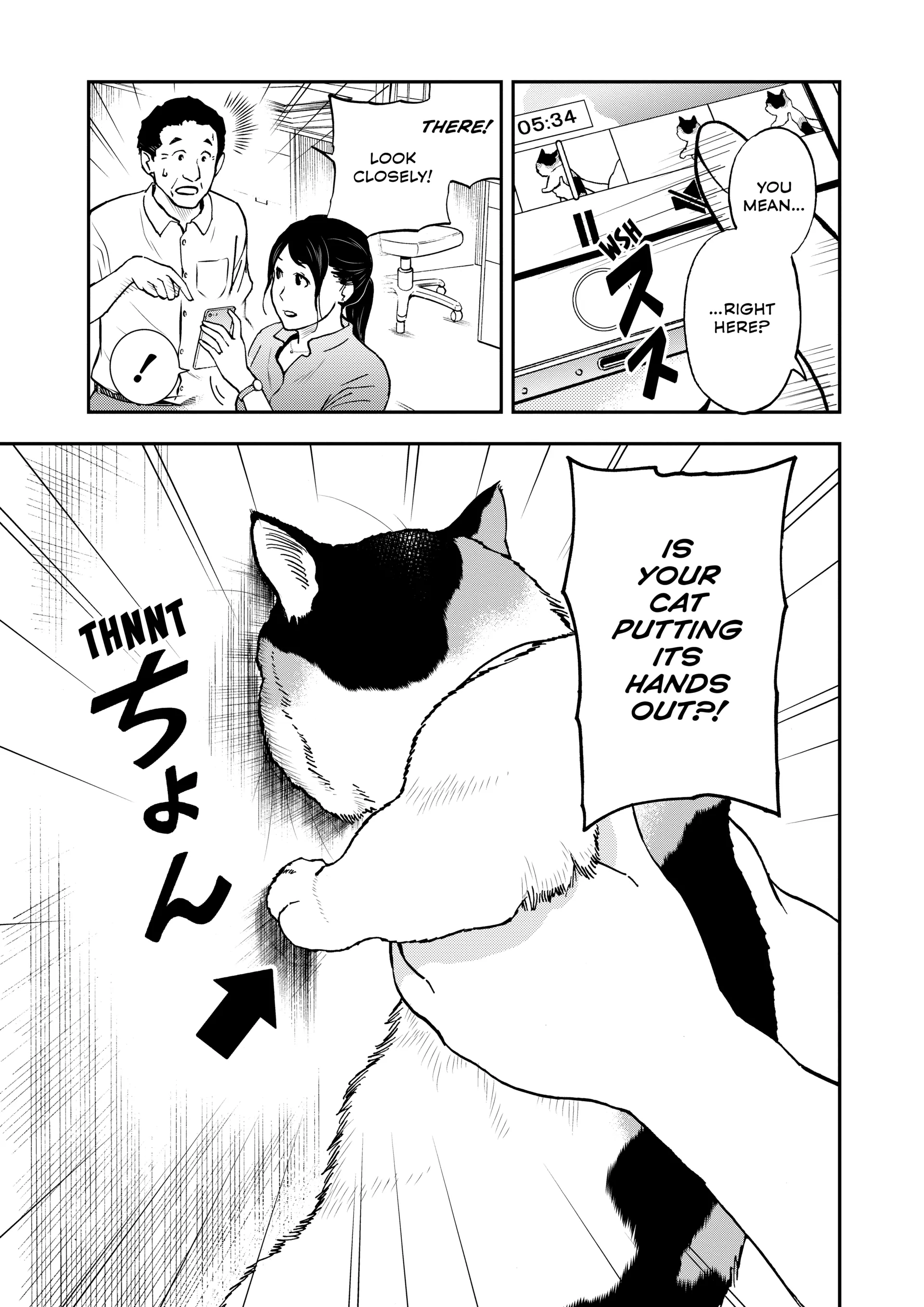 A Gamer Living With A Cat Chapter 71 - page 13