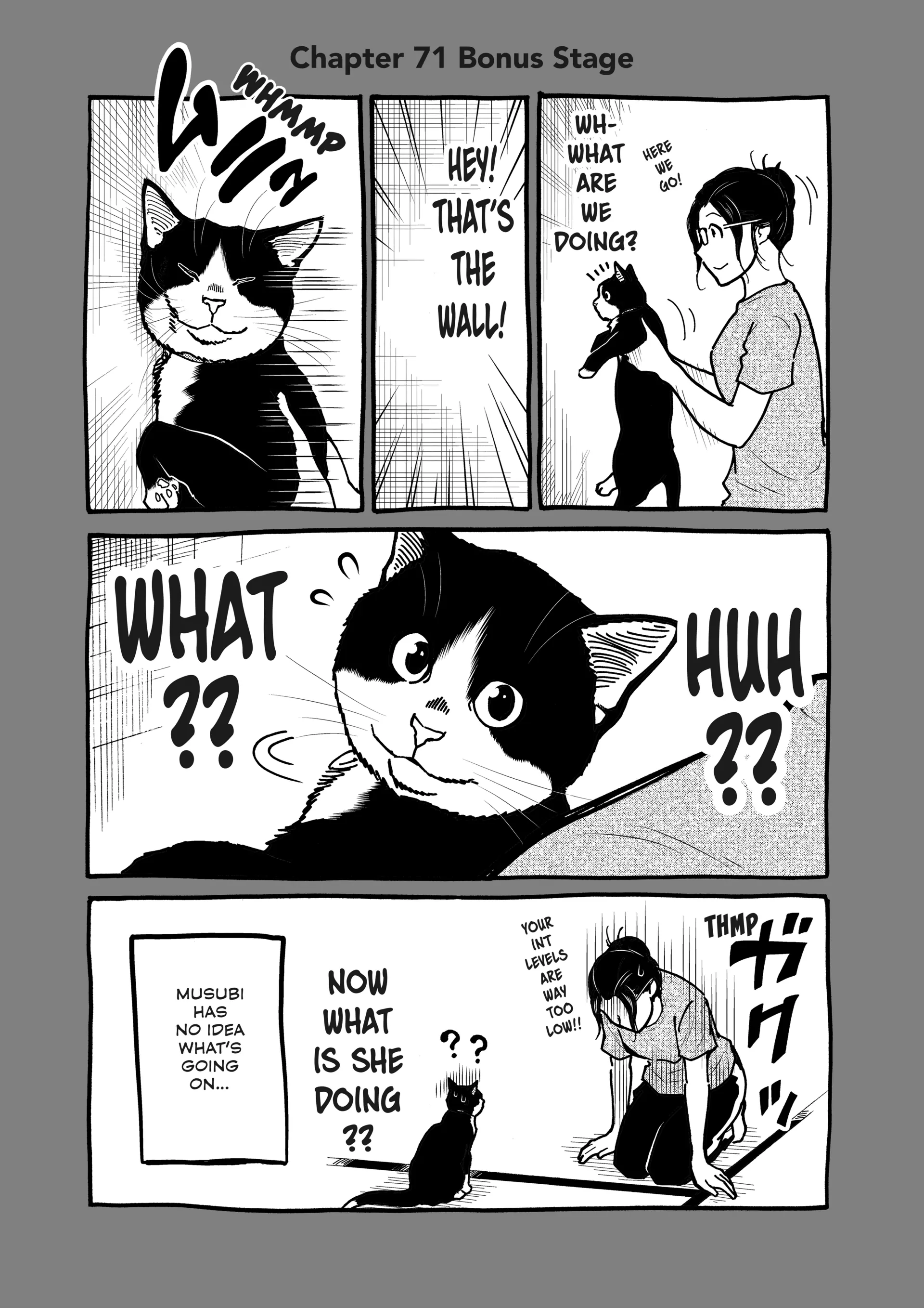 A Gamer Living With A Cat Chapter 71 - page 15