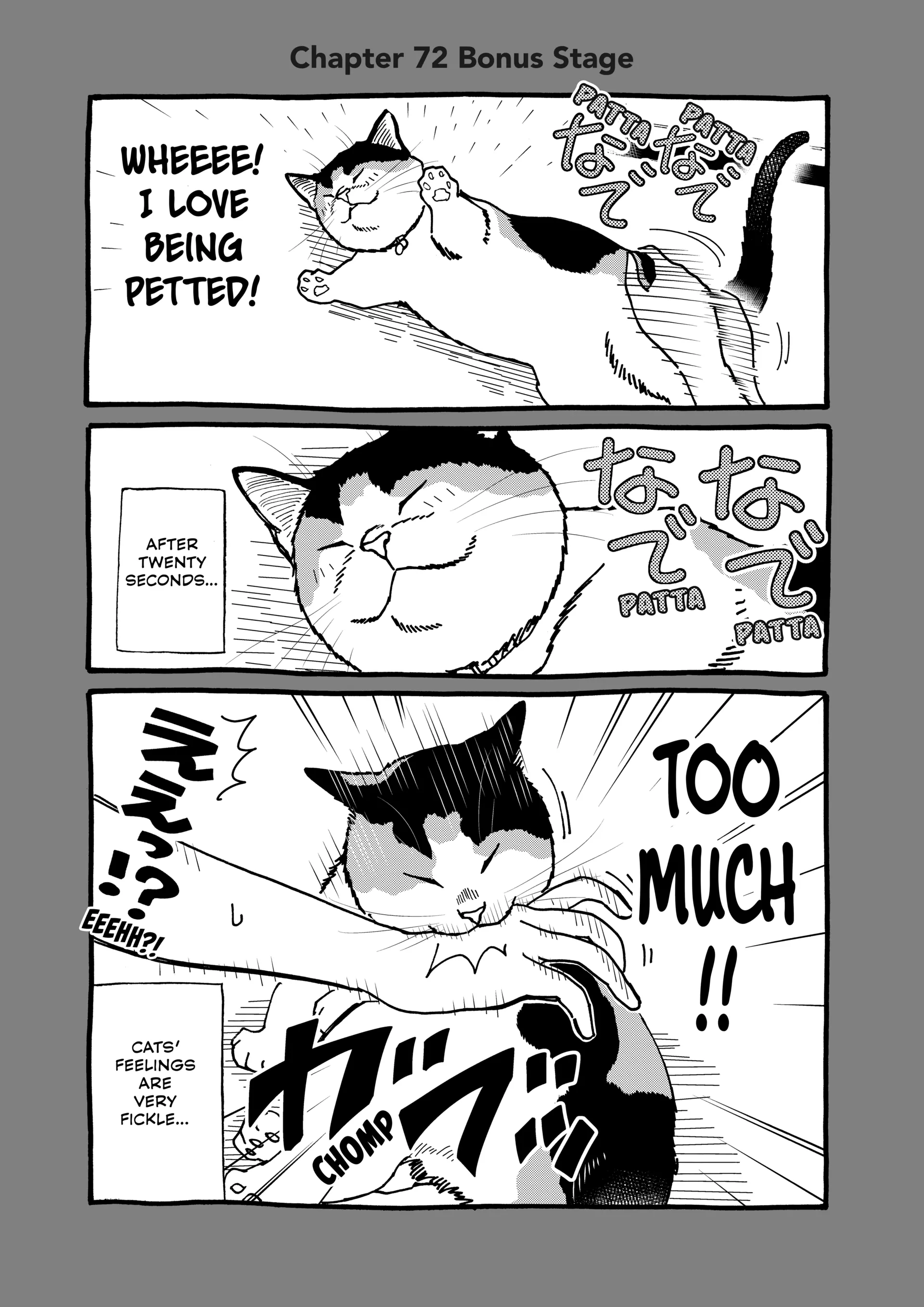 A Gamer Living With A Cat Chapter 72 - page 13