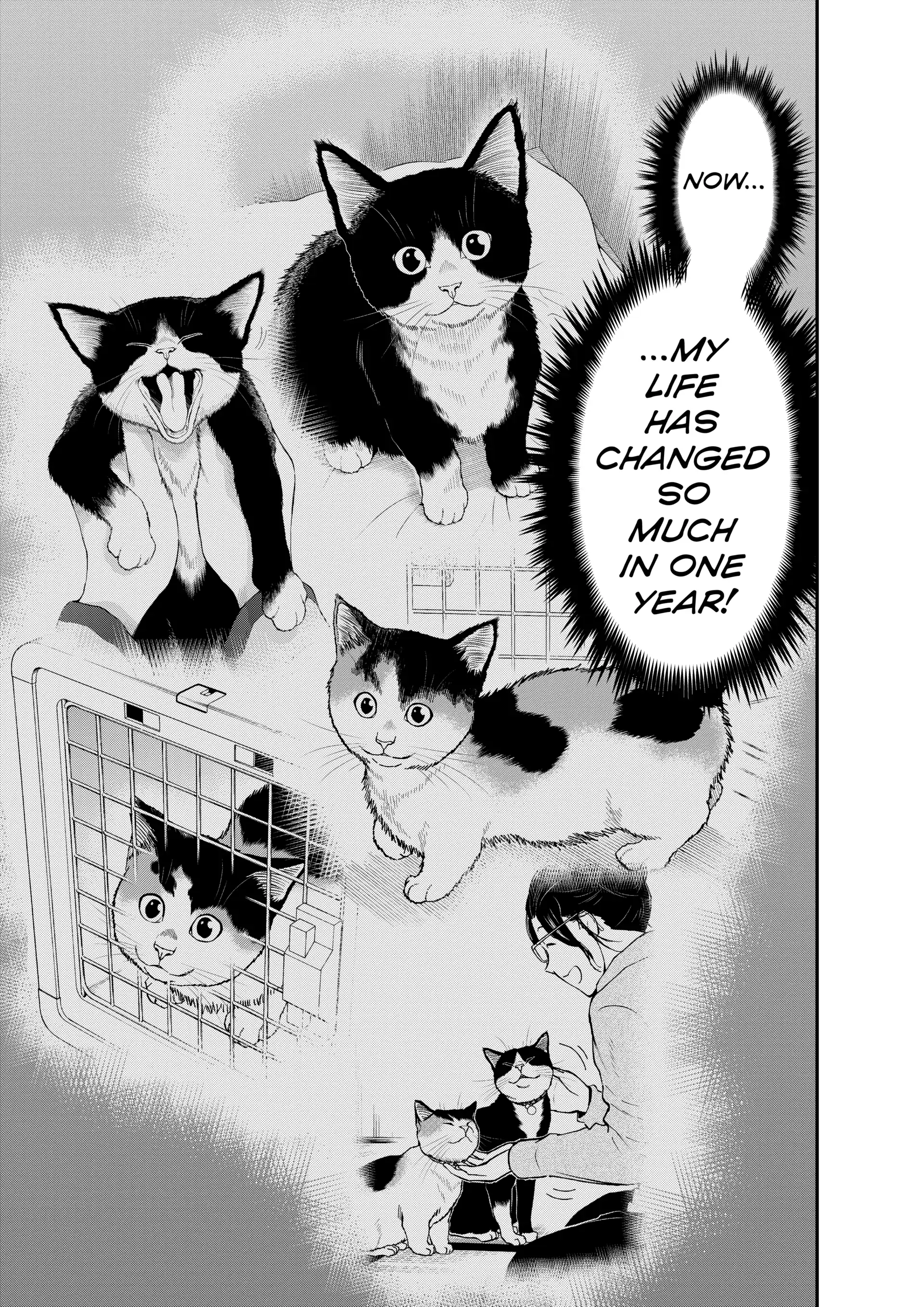 A Gamer Living With A Cat Chapter 73 - page 15