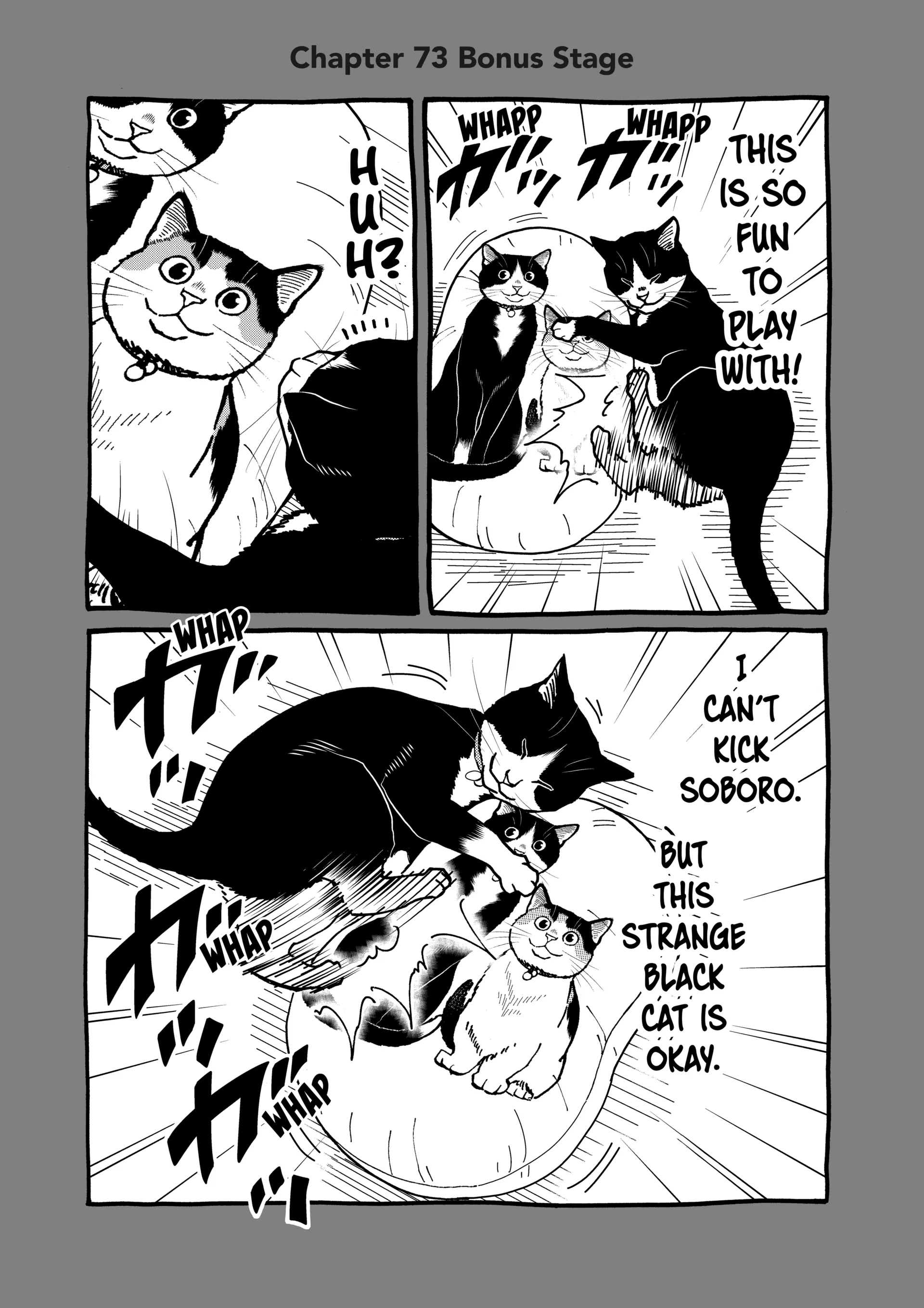 A Gamer Living With A Cat Chapter 73 - page 17