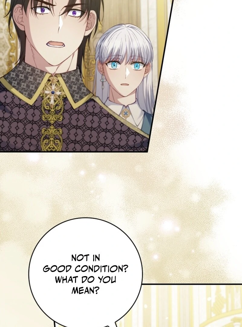 The Fake Lady of House Silkisia Chapter 111 - page 26