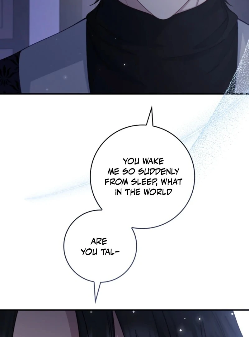 The Fake Lady of House Silkisia Chapter 112 - page 87