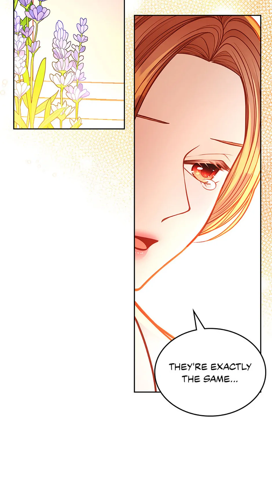 The Duchess’s Secret Dressing Room Chapter 125 - page 77