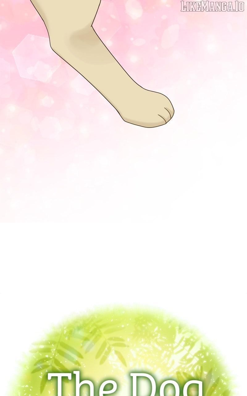 The Dog Diaries Chapter 222 - page 7