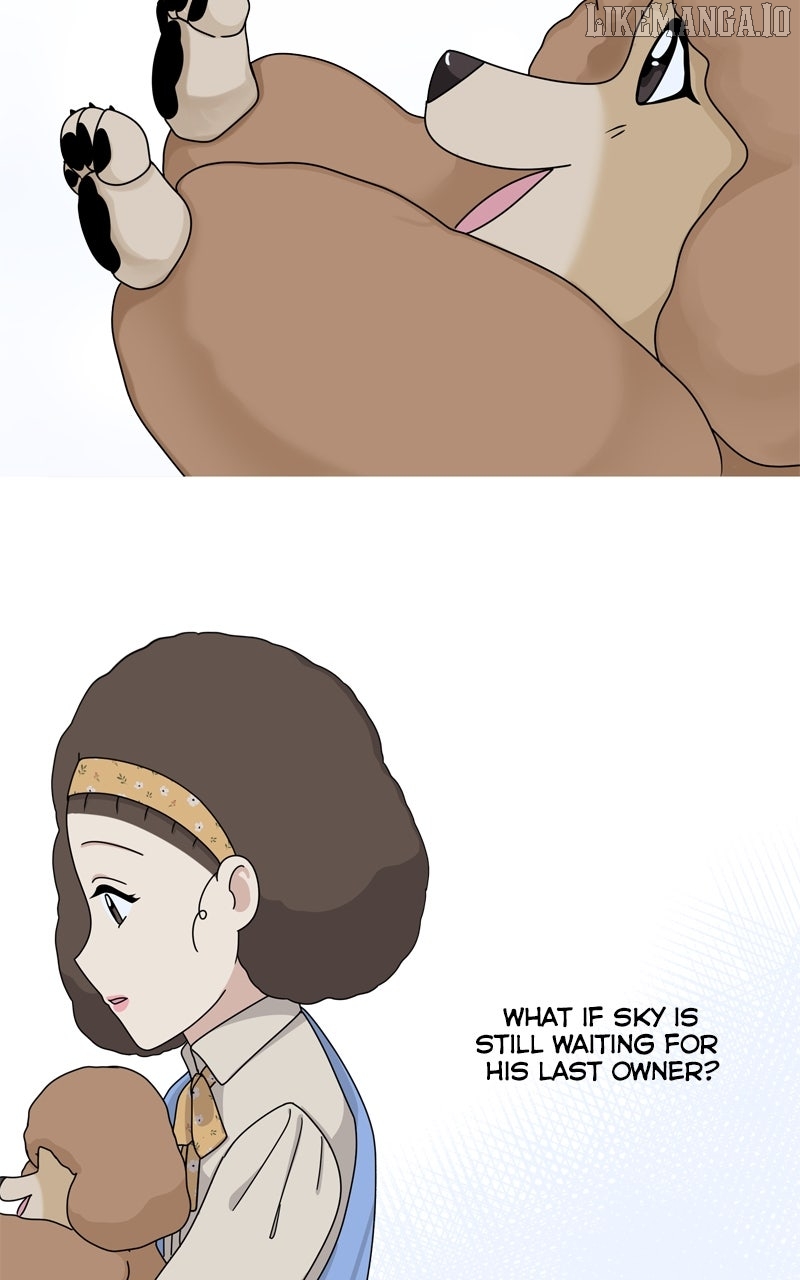 The Dog Diaries Chapter 222 - page 14