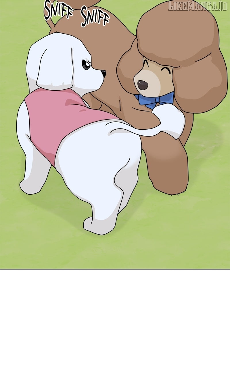 The Dog Diaries Chapter 222 - page 19