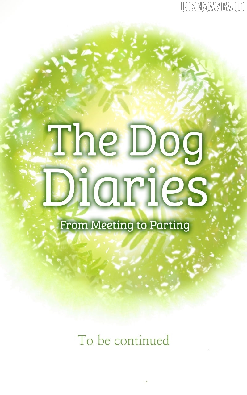 The Dog Diaries Chapter 222 - page 97