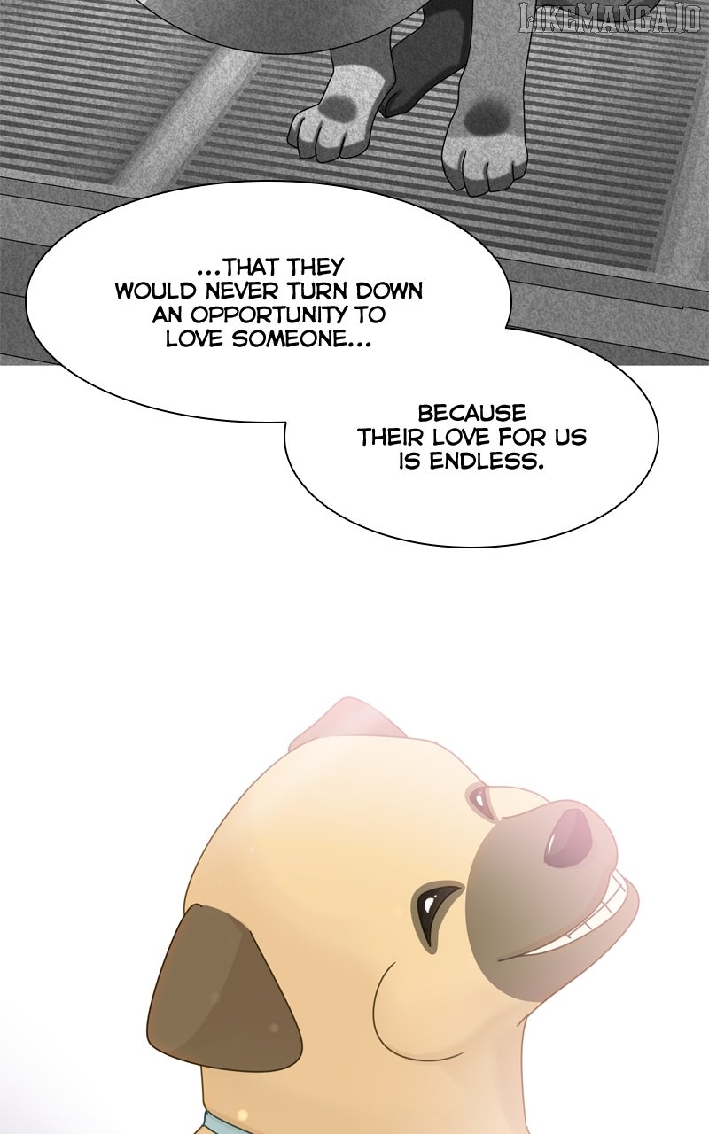 The Dog Diaries Chapter 223 - page 66