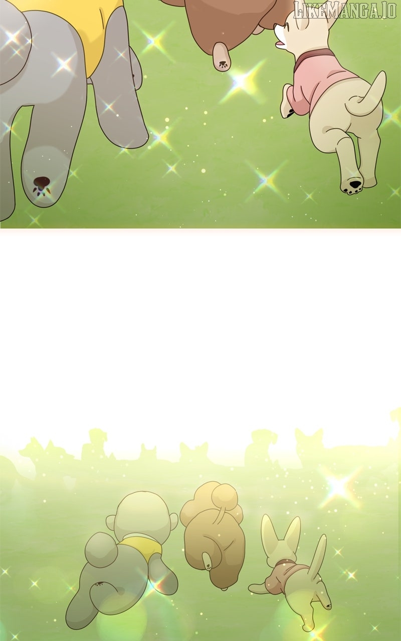The Dog Diaries Chapter 223 - page 73