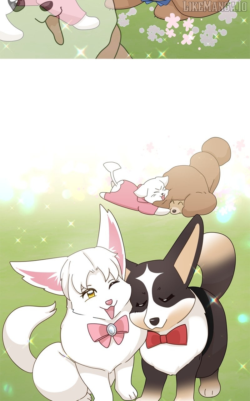 The Dog Diaries Chapter 224 - page 14