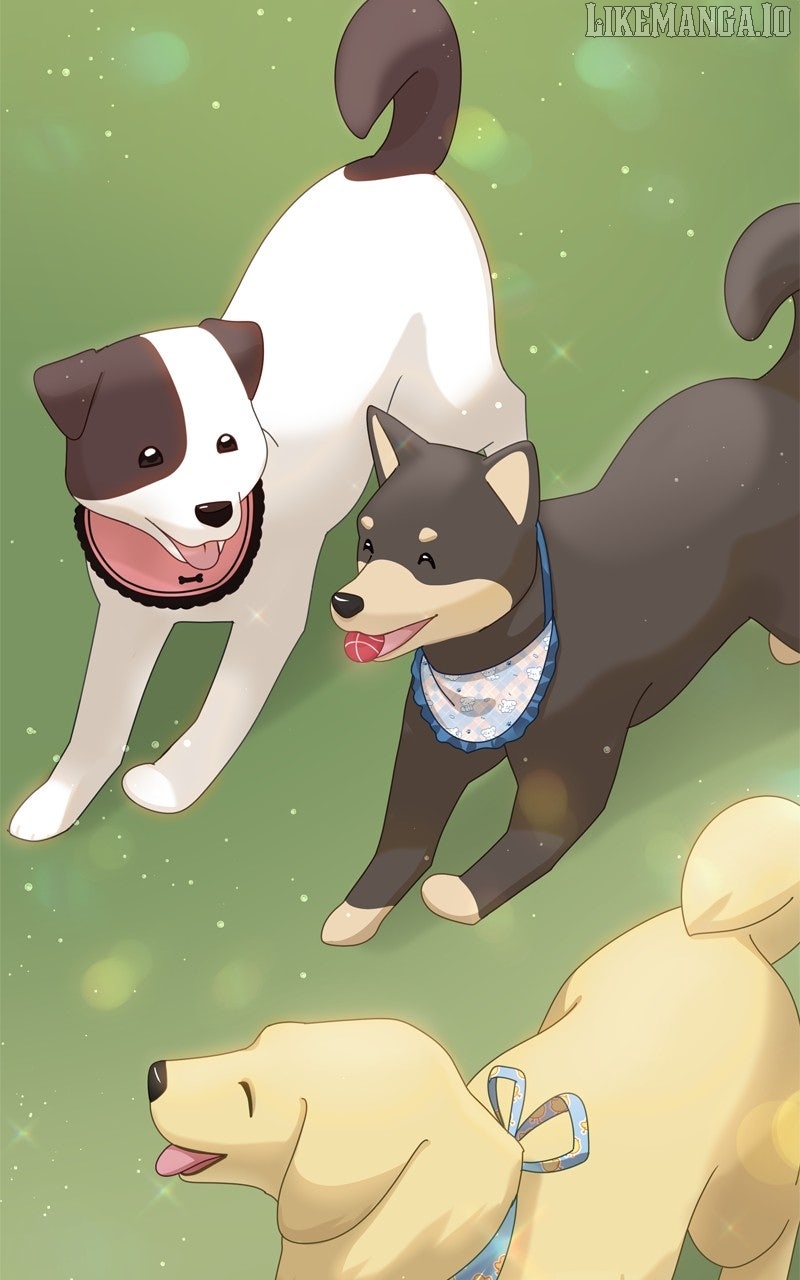 The Dog Diaries Chapter 224 - page 30