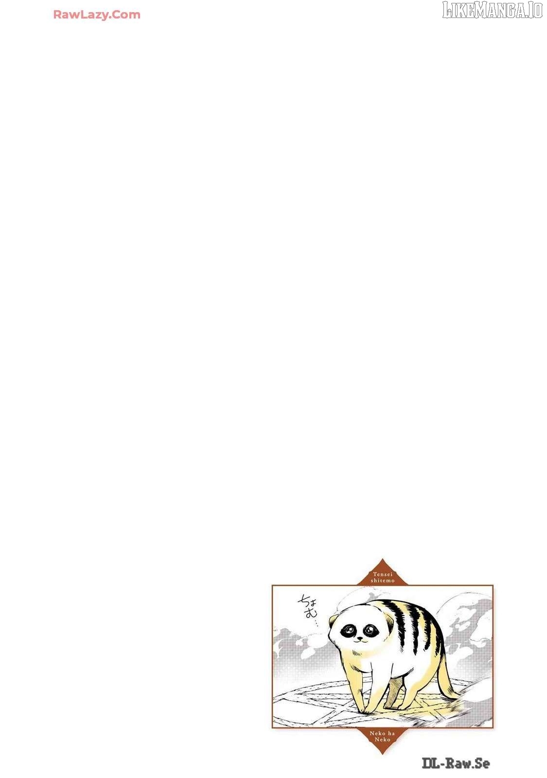 A story about a cat reincarnated in a different world where there are no cats. Chapter 40 - page 6