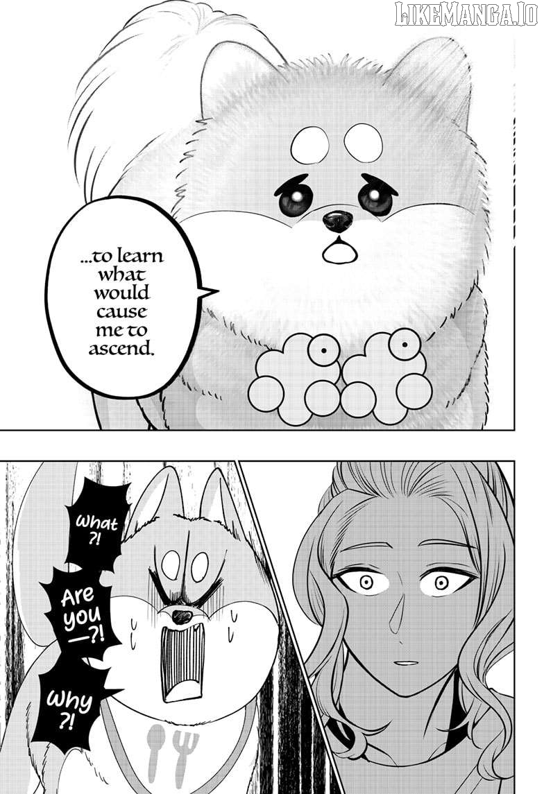 Shiba Inu Rooms Chapter 34 - page 13