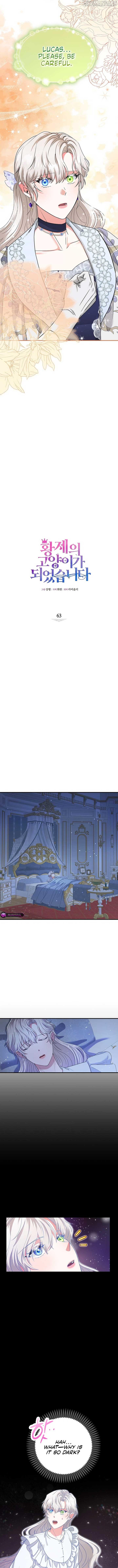 I Became the Emperor’s Cat Chapter 63 - page 3