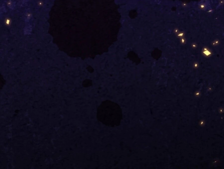 Baby Pharmacist Princess Chapter 106 - page 204