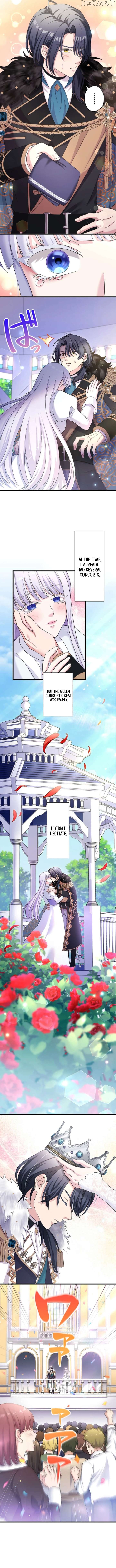 The Legendary Assassin Reincarnated as the Beloved Youngest Daughter of a Royal Family Chapter 64 - page 4