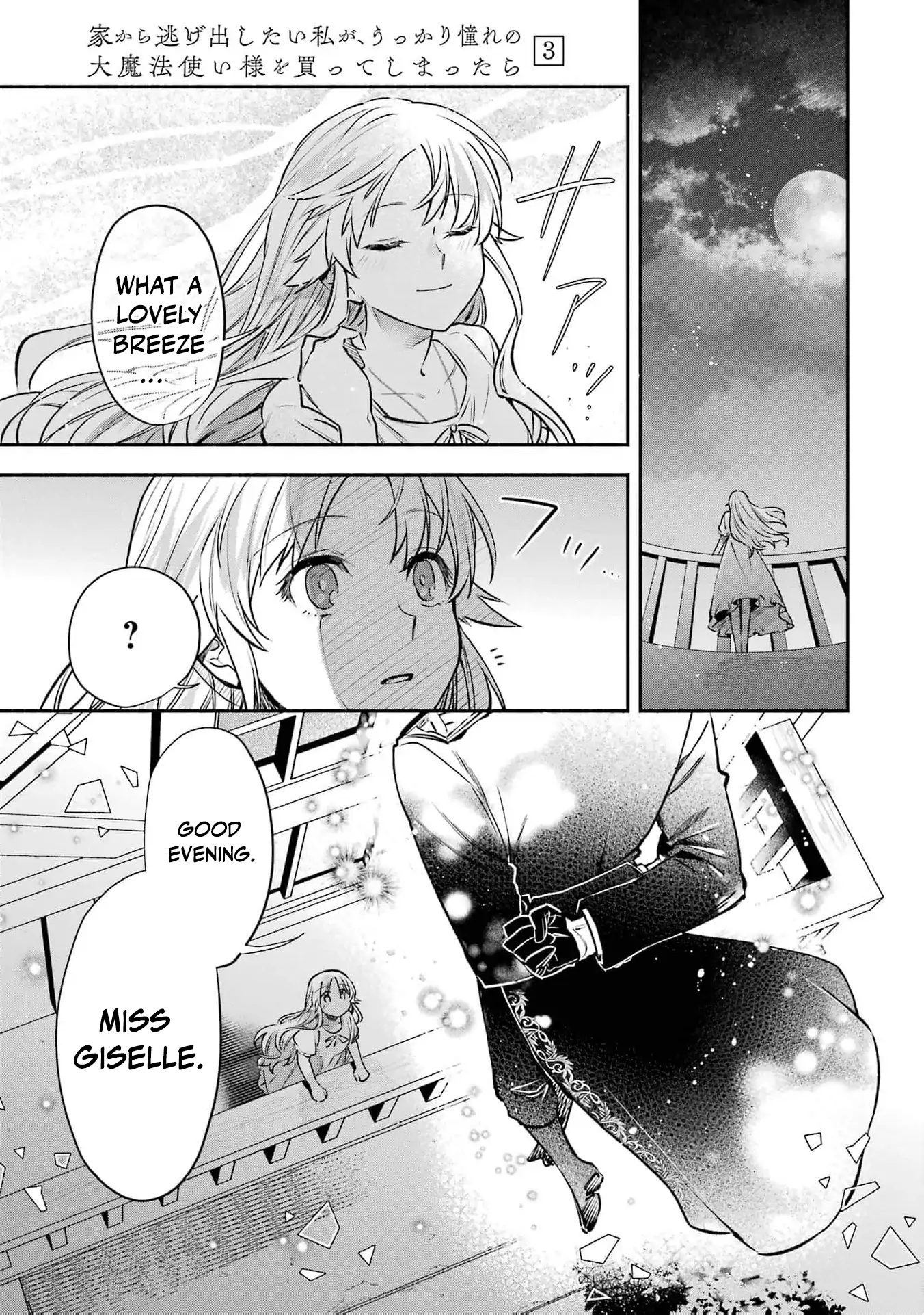 That Time I Bought a Great Wizard in Hopes of Becoming a Runaway Chapter 14 - page 15