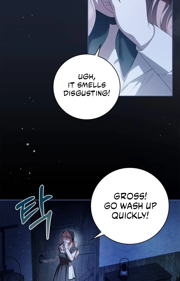 The Count’s Secret Maid Chapter 50 - page 25