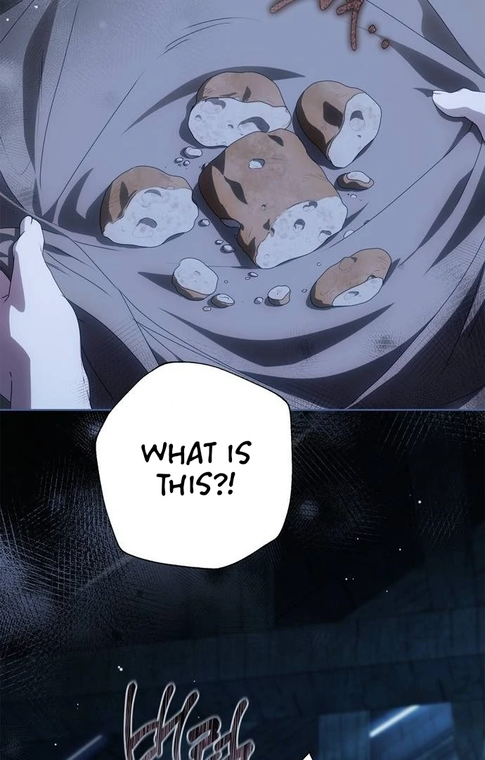 The Count’s Secret Maid Chapter 50 - page 31