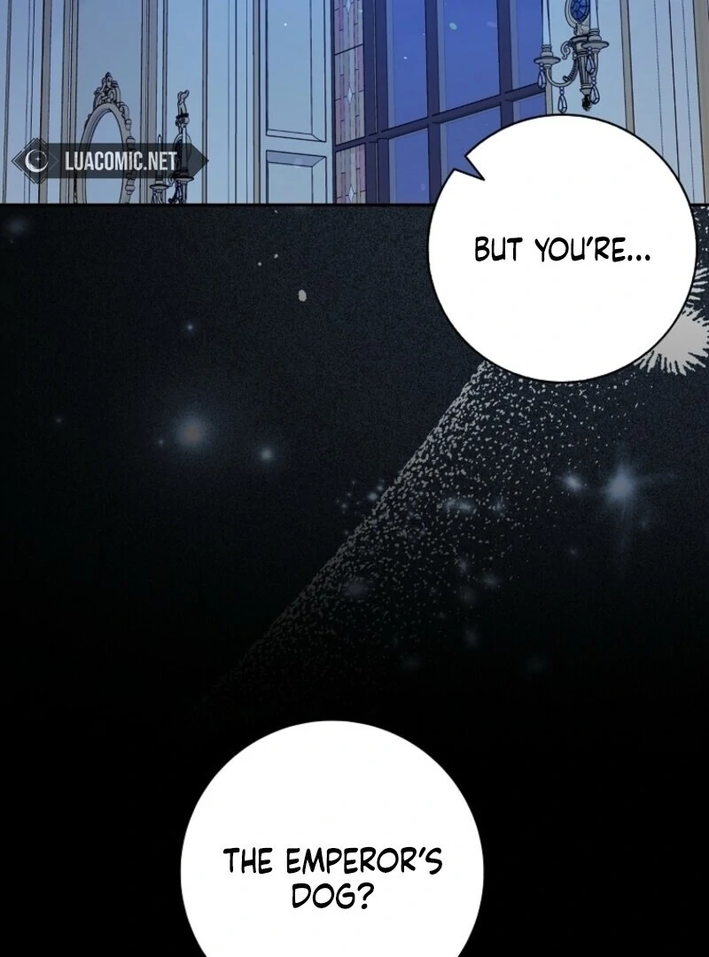 Beware of the Strongest Man Who is Crazy About Me Chapter 51 - page 88