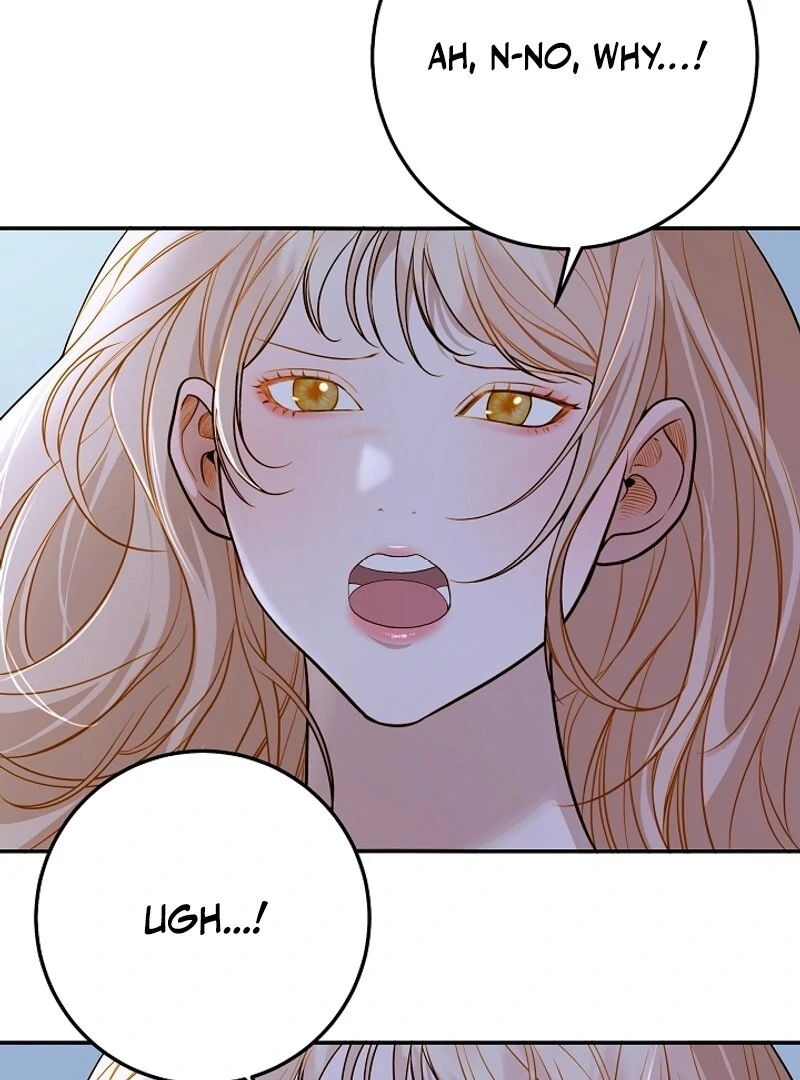 Cassnier’s Secret Memoirs Chapter 17 - page 5