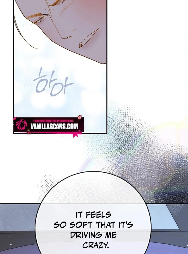 Cassnier’s Secret Memoirs Chapter 17 - page 61