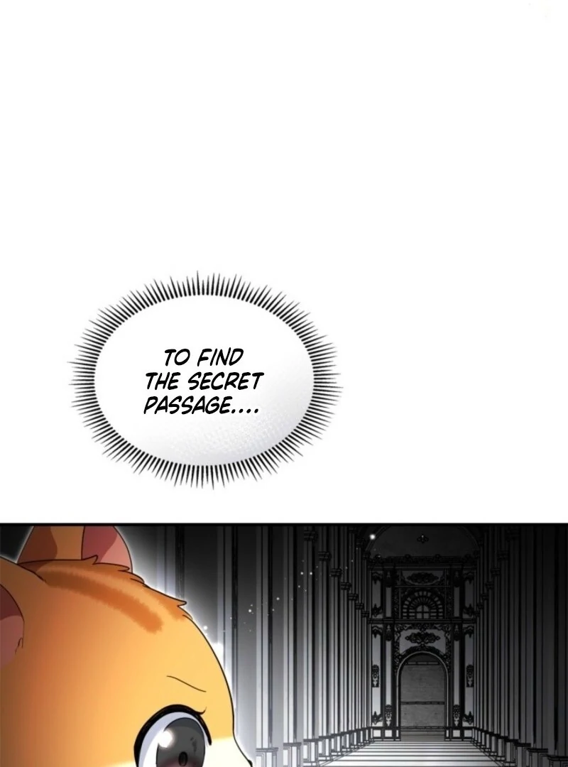 I Became A Squirrel Seeking For The Villain Chapter 47 - page 72