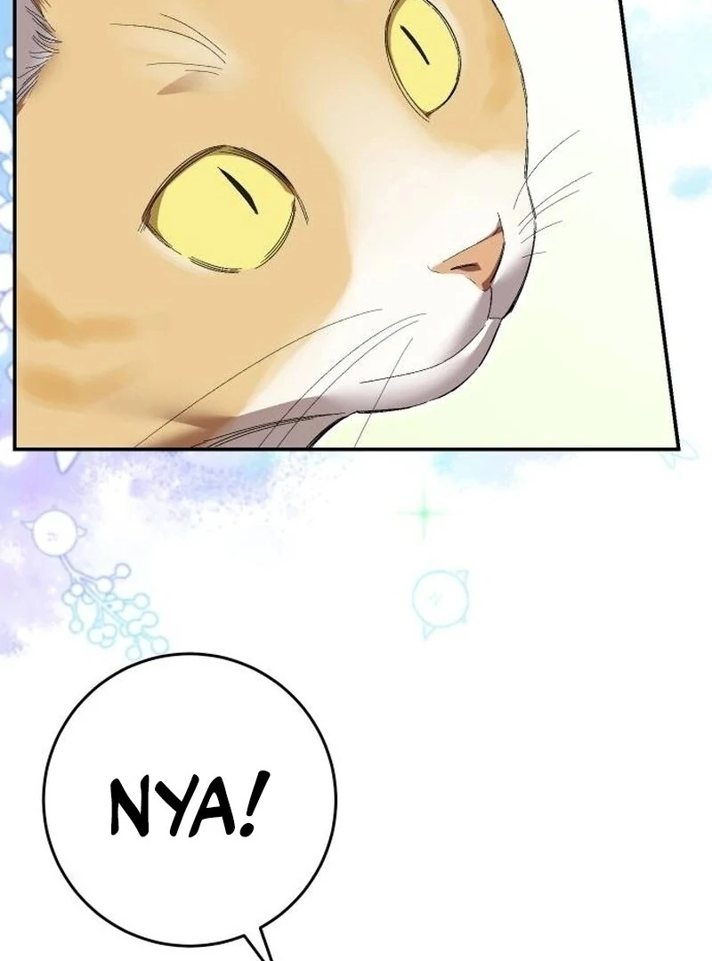 The empresss time reversed abducted marriage Chapter 40 - page 116