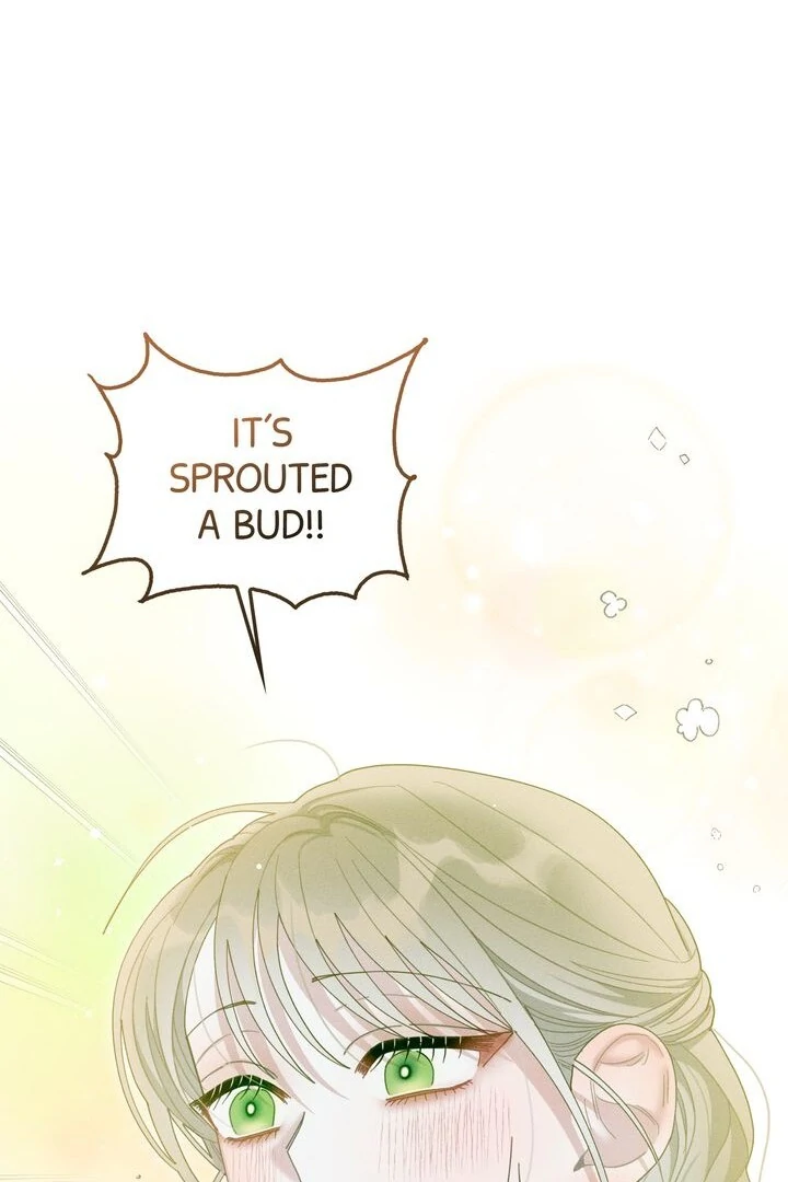 Sorang's Flower Art Shop【Official】 Chapter 15 - page 7