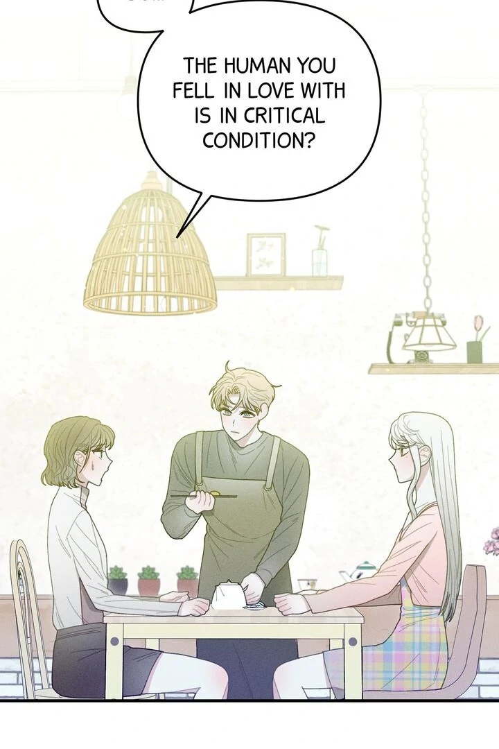 Sorang's Flower Art Shop【Official】 Chapter 24 - page 13