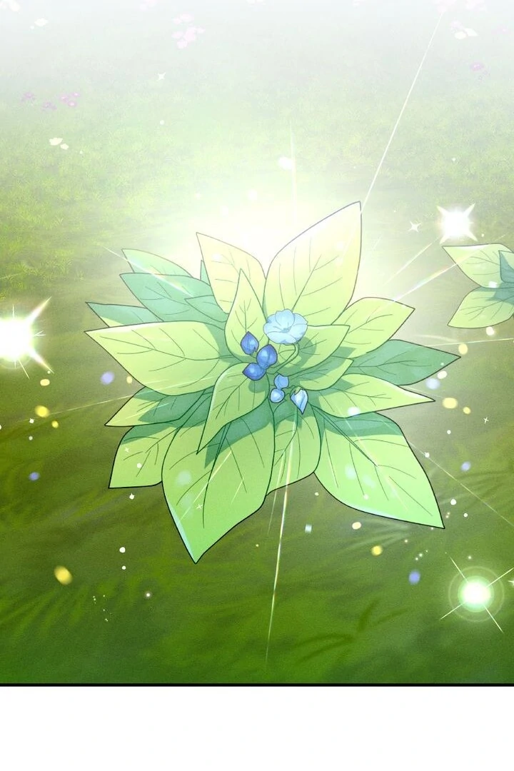 Sorang's Flower Art Shop【Official】 Chapter 25 - page 79