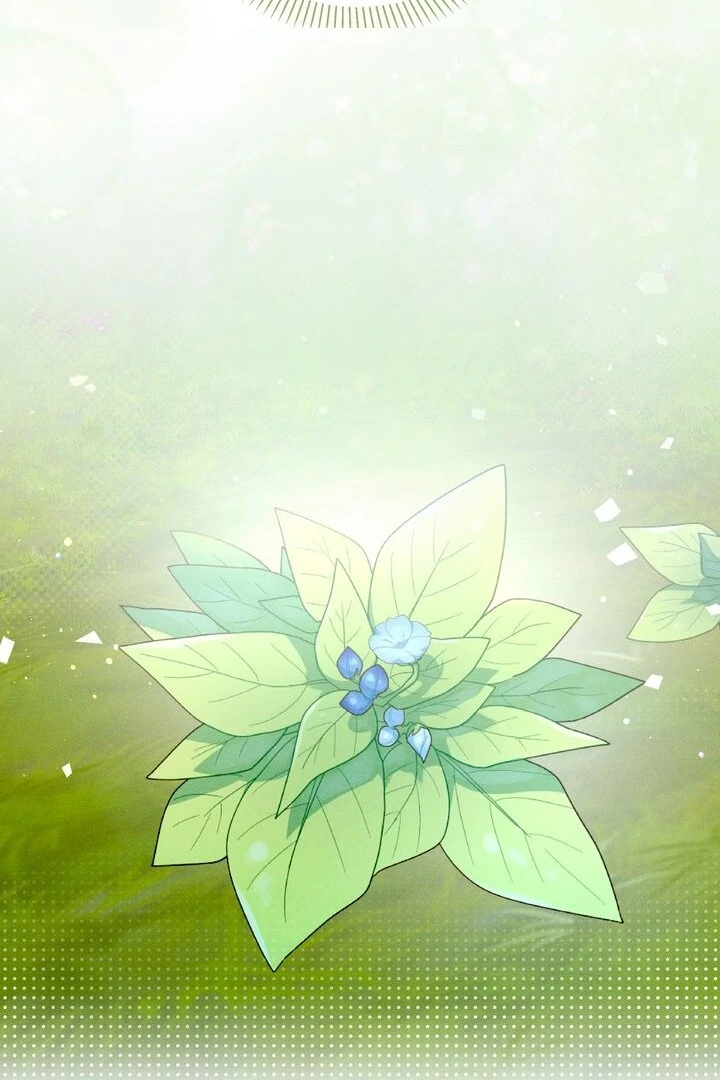 Sorang's Flower Art Shop【Official】 Chapter 25 - page 85