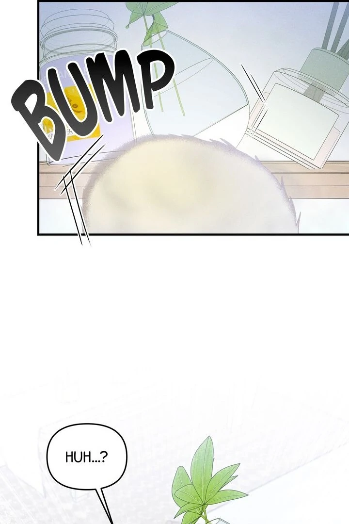 Sorang's Flower Art Shop【Official】 Chapter 27 - page 66