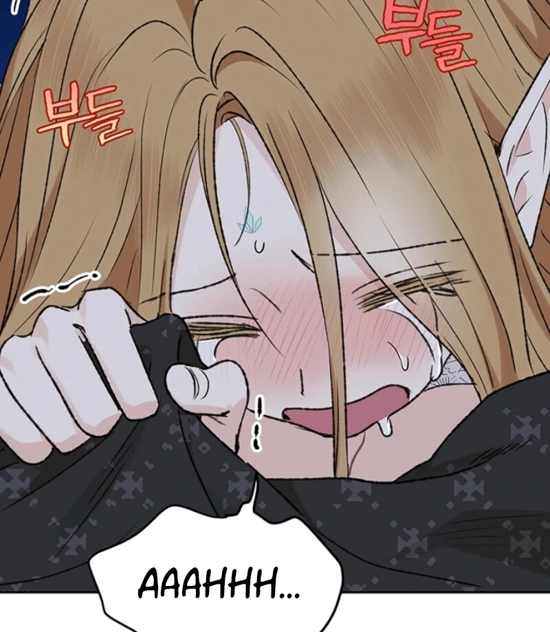 The Mating of Elves Chapter 48 - page 133