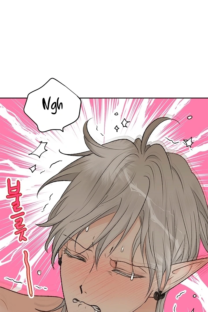 The Mating of Elves Chapter 49 - page 46