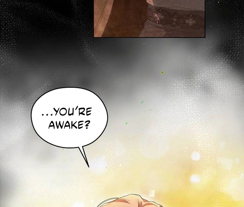 There Are No Benefits for the Possessor Chapter 30 - page 100