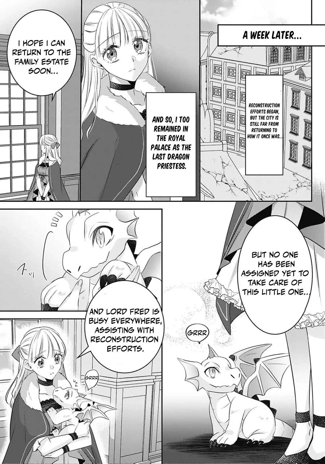 Dragon priestess in the birdcage Chapter 11 - page 25