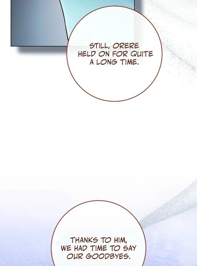 Royal Shop of Young Lady Chapter 181 - page 25