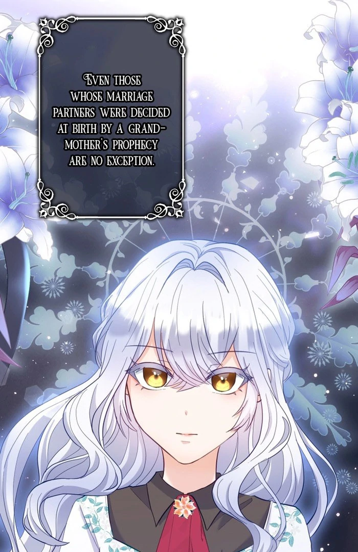 Princess Sveta’s Political Marriage Chapter 41 - page 11