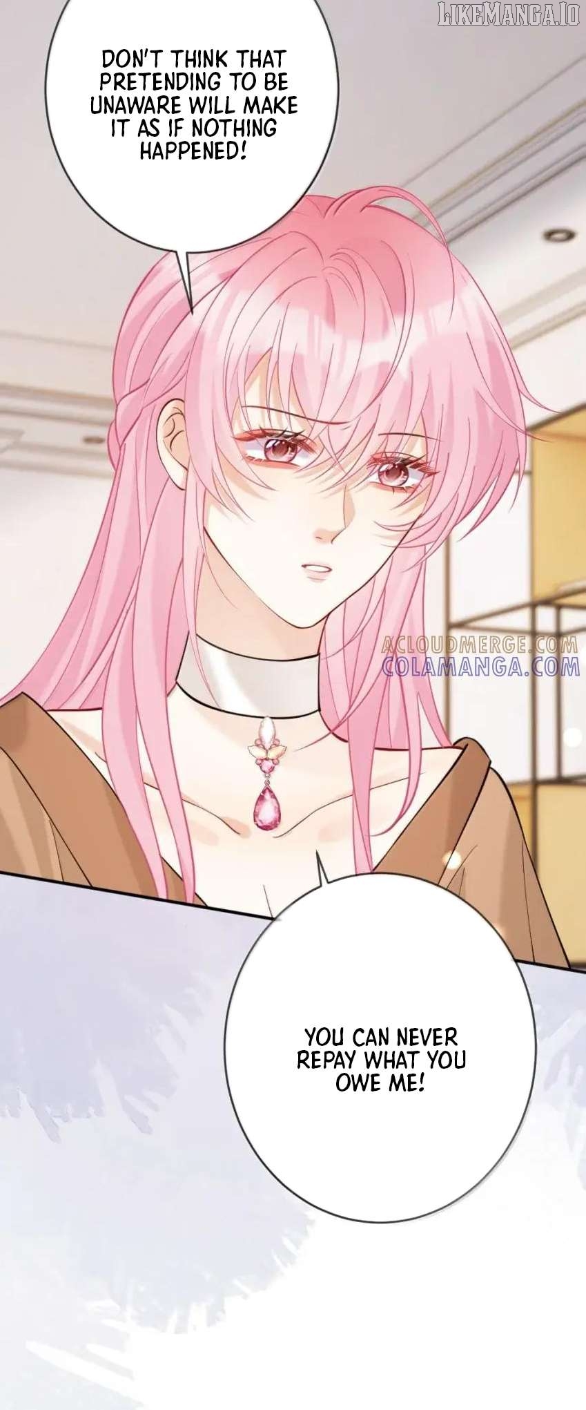 The Two-Faced Heroine is Obsessed with Marking Me Chapter 24 - page 5
