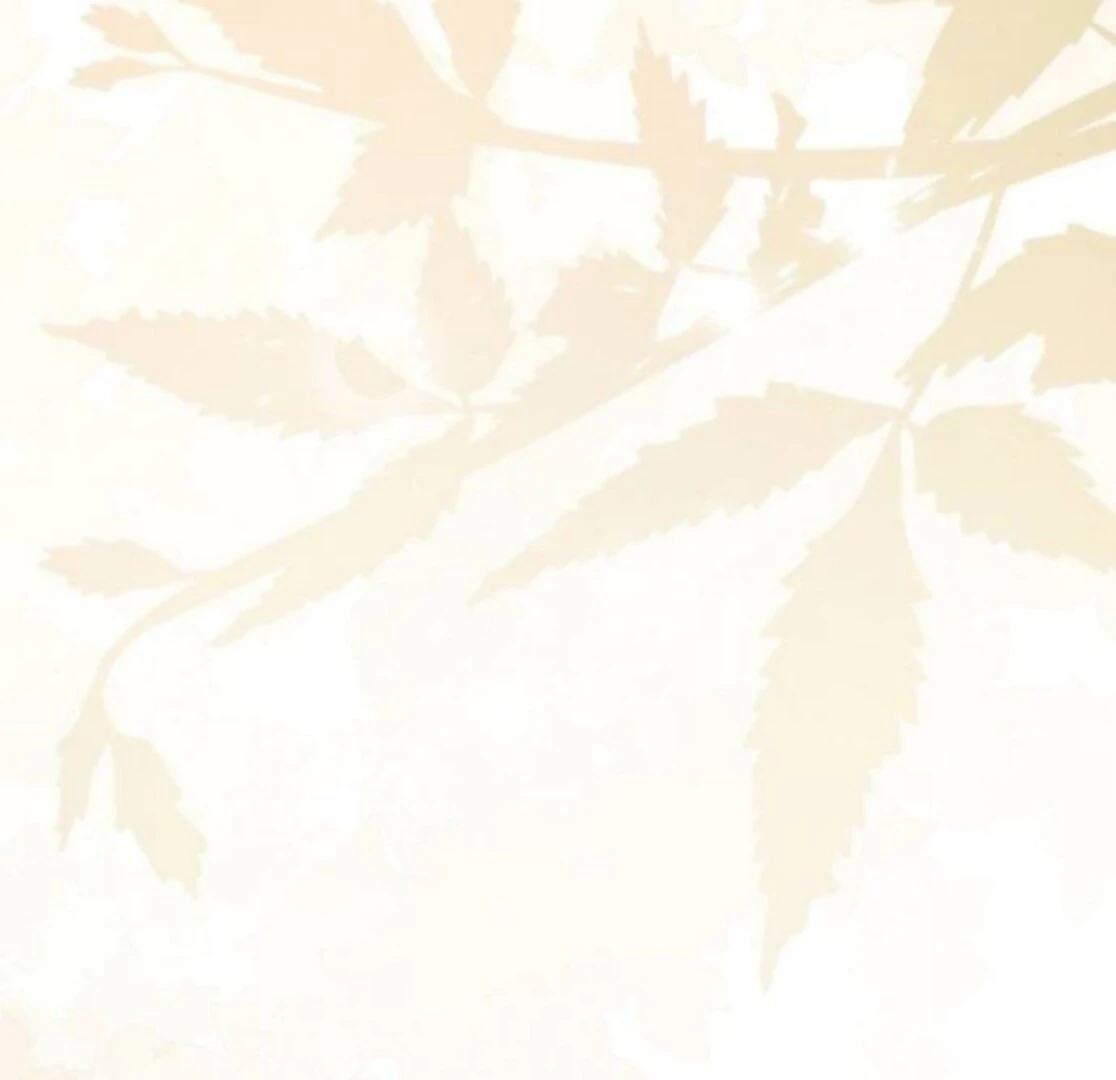 When Arrogance Fell at My Feet Chapter 40 - page 160