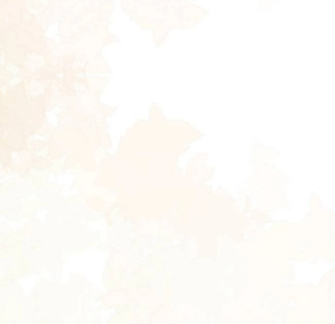 When Arrogance Fell at My Feet Chapter 40 - page 161