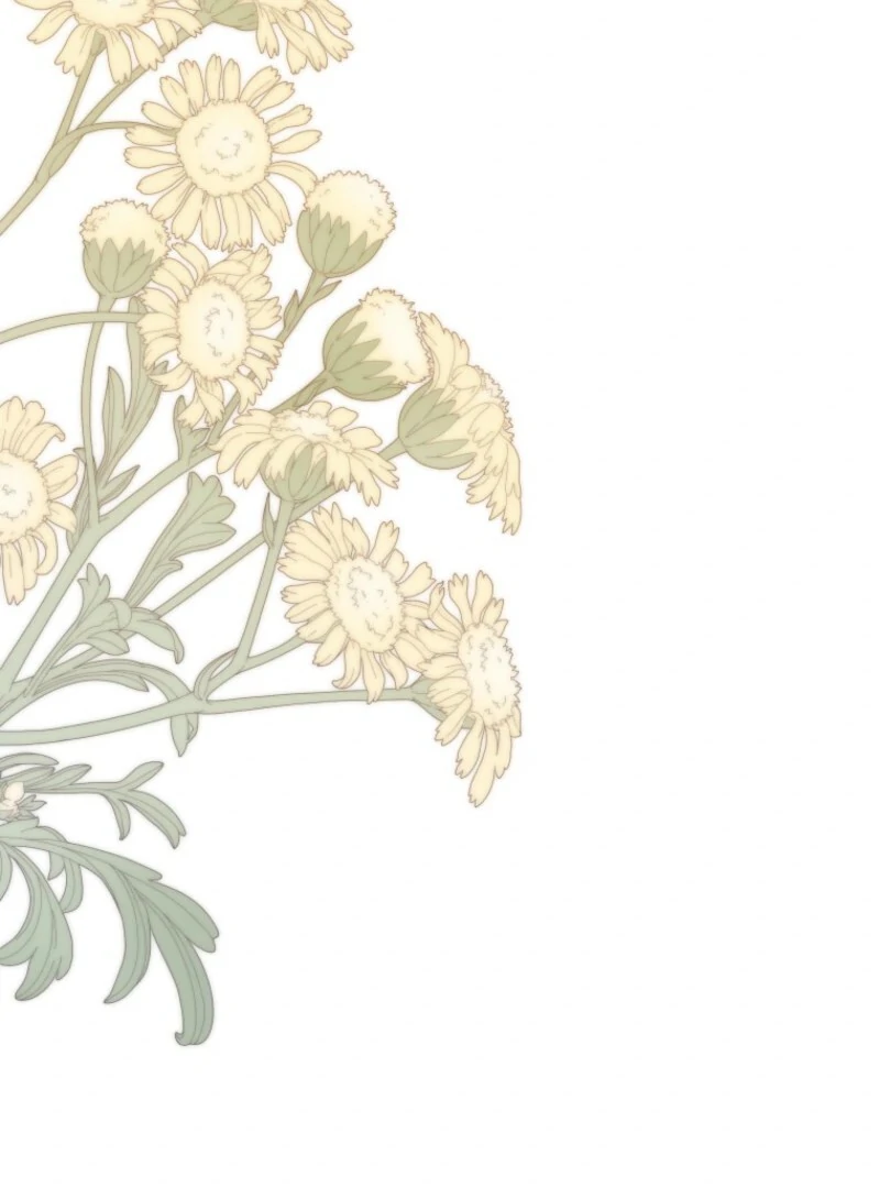 The Dark Lord: Princess Seraphina Chapter 34 - page 76