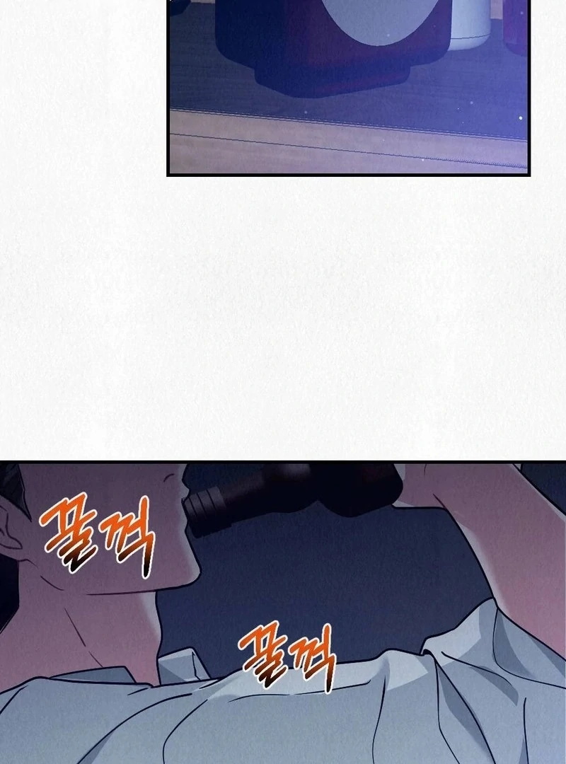 A Guest Beneath the Monsoon Skies Chapter 10 - page 28