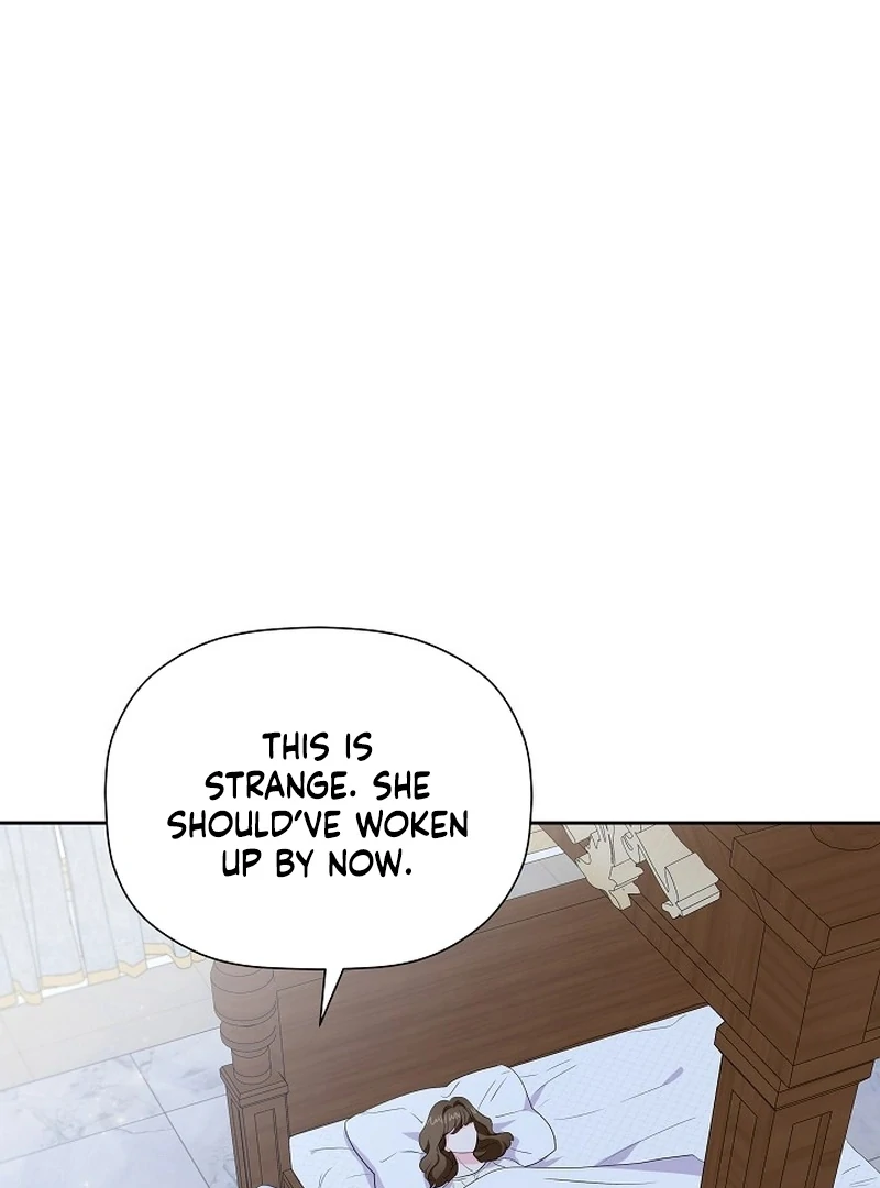 The Time-Limited Villainess Who Makes Medicine Chapter 29 - page 29