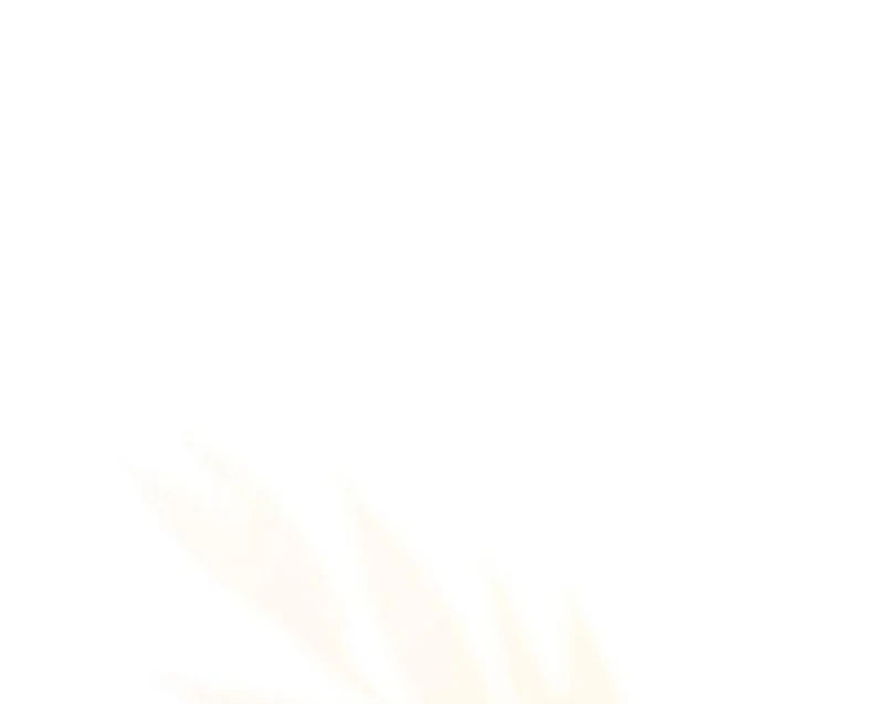 If You Want a Cheeky Sorceress Chapter 18 - page 145